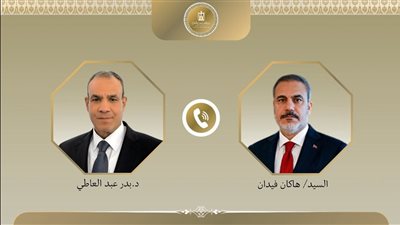 وزير الخارجية ونظيره التركي يبحثان جهود وقف إطلاق النار في غزة وتطورات السودان والقرن الأفريقي