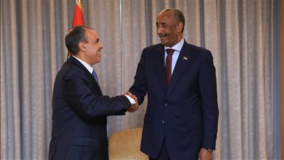 وزير الخارجية يلتقي البرهان ويؤكد دعم مصر لوحدة السودان