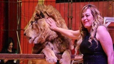 فاتن الحلو: اخترت دار كبار الفنانين بإرادتي الكاملة… ودهب وكاميليا سندي الحقيقي في الحياة