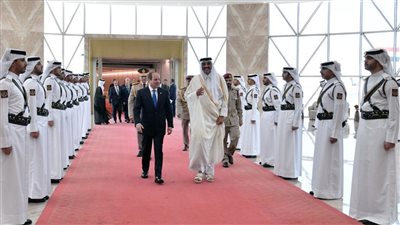 الرئيس السيسى يؤكد انفتاح مصر على الشراكة مع المستثمرين القطريين