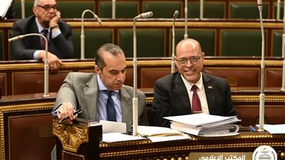 وزير العمل يؤكد على أن مشروع القانون يعزز من امتثال مصر لاتفاقيات حقوق الانسان