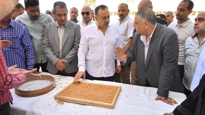 محافظ أسيوط يتابع توريد الذهب الأصفر ويعلن جاهزية 28 موقعًا لتخزين 160 ألف طن قمح