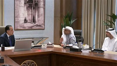 مدبولي: مشروع 
