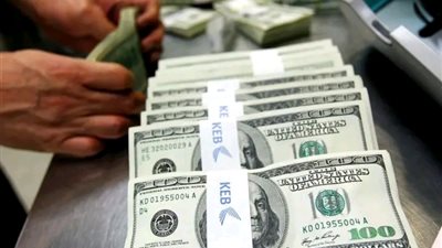 البنك المركزي يعلن إصدار أذون خزانة دولارية بقيمة 990 مليون دولار 