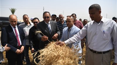محافظ قنا يتفقد صومعة الترامسة ويُطلق إشارة بدء موسم حصاد القمح من إحدى مزارع دندرة