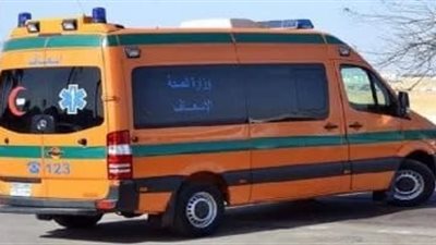 ضبط متهم بالاحتيال على مواطنين بزعم تسفيرهم وتوفير تأشيرات سياحية