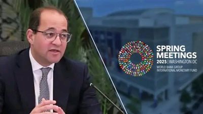 وزير المالية: مصر حريصة على تعظيم التبادل التجاري والاستثماري مع بولندا