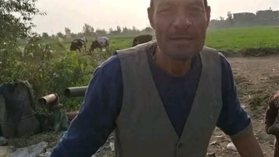ماكينة حصاد القمح 