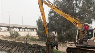 محافظ أسيوط: يوجه بتكثيف حملات إزالة الحشائش والمخلفات من الترع والمصارف