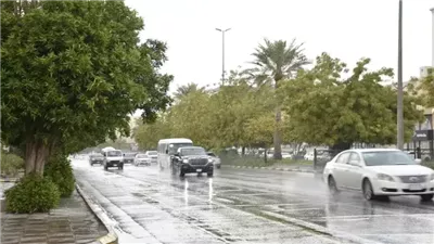 ليلة رأس السنة تحت الصقيع.. الأرصاد تحذر من طقس شديد البرودة وأمطار متفرقة