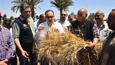 توريد أكثر من 283 ألف طن قمح بصوامع بني سويف