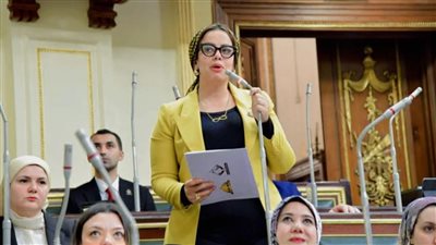 برلمانية: مشروع قانون الثروة المعدنية خطوة جريئة لجذب الاستثمار وتحقيق طفرة اقتصادية
