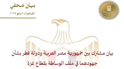 بيان مشترك.. مصر وقطر تؤكدان استمرار جهودهما لإنهاء الأزمة الإنسانية في غزة
