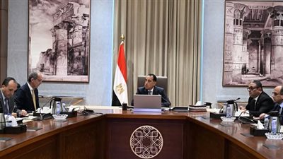 رئيس الوزراء يتابع مع وزير الاتصالات تنفيذ قانون الرقم القومي العقاري