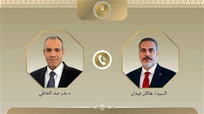 وزير الخارجية ونظيره التركي يبحثان الأوضاع في غزة وليبيا 