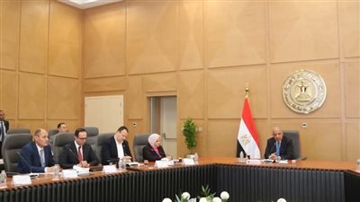 وزير الكهرباء يتابع مشروعات دعم الشبكة القومية وإضافة قدرات توليدية من الطاقات المتجددة