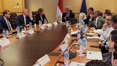 منظومة جديدة للحصول على التأشيرة الاضطرارية بالمطارات المصرية 