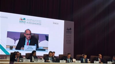 الرقابة المالية: مرونة واستباقية في مواجهة التحول الرقمي
