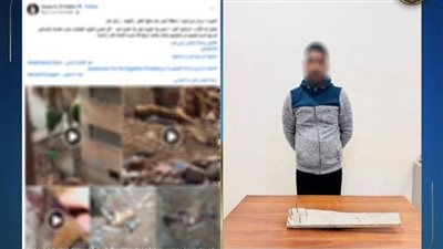 ضبط راعي أغنام اعتدى على كلاب ضالة بالبحيرة