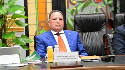 أبو هميلة: قمة بغداد فرصة حقيقية لتبني المبادرة المصرية لإعادة إعمار غزة