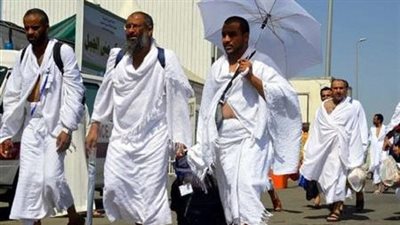 رئيس بعثة الحج الرسمية: وصول 4000 حاج للمدينة المنورة وبدء وصول الرحلات لمكة المكرمة