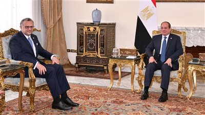 الرئيس السيسي: ندعم حلاً ليبياً ليبياً برعاية وطنية