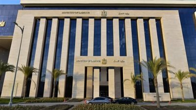  العمل تكشف تفاصيل جديدة حول فيديو تعنيف العامل المصري بالسعودية ورفضه التعويضات