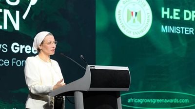 وزيرة البيئة تدعو للعمل المشترك لتنفيذ مشروعات خضراء قابلة للتطوير محليا وأفريقيا