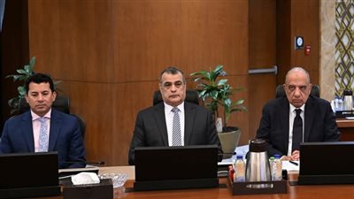 مجلس الوزراء يستعرض مشروعات خطة وزارة الكهرباء للوصول بالطاقات المتجددة إلى نسبة 30%   