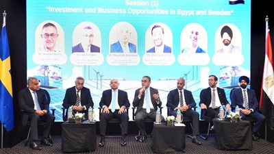 الهيئة العامة للاستثمار تستضيف منتدى الأعمال المصري السويدي بحضور 23 شركة