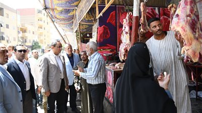 محافظ قنا يتفقد المخابز ومنافذ بيع اللحوم ويفاجئ مستشفى حميات نجع حمادي