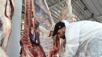 تنفيذاً لقرار محافظ أسوان.. المجازر الحكومية تواصل أعمال الكشف والذبح للأضاحي على مدار اليوم بالمجان
