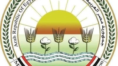 ذبح أكثر من 20 ألف أضحية بالمجازر الحكومية خلال أول يومين لعيد الأضحى المبارك