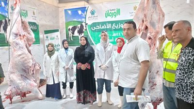 محافظ الغربية: تحصين 101 ألف و737 من الماشية ضد 