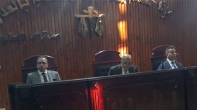 إحالة أوراق متهمي مقتل نجل السفير للمفتي.. والحكم 9 أغسطس