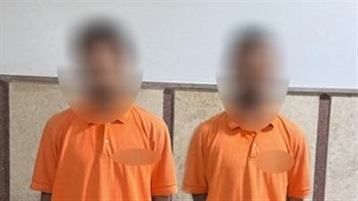 ضبط شخصين ظهرا في فيديو لجمع الكلاب داخل أجولة بقرية سياحية بمطروح