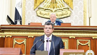 إصدار قانون تنظيم بعض الأحكام المتعلقة بملكية الدولة في الشركات المملوكة