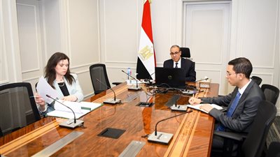 وزير الخارجية والهجرة يلتقي الجالية المصرية في واشنطن ونيويورك عبر الإنترنت
