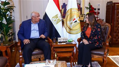 وزيرة التنمية المحلية تتابع مع محافظ الوادي الجديد تنفيذ مركز الحديد بمدينة الخارجة 