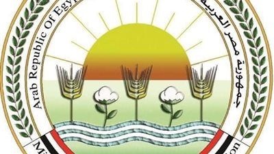 الزراعة تبدأ حملة لتحصين الماشية ضد الحمى القلاعية والوادي المتصدع