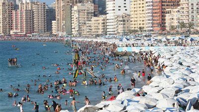 توجيه عاجل من محافظ الإسكندرية بشأن حالة الشواطئ والحدائق العامة