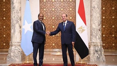 الرئيس السيسي يعقد مباحثات ثنائية وموسعة مع نظيره الصومالي بالعلمين