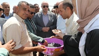 محافظ بنى سويف يشهد إلقاء 250 ألف زريعة ضمن مشروع الاستزراع السمكي