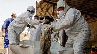 العراق: 30 وفاة بالحمى النزفية منذ بداية 2025 وتحذيرات من غياب اللقاح