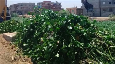 دمياط: استمرار جهود الوحدة المحلية بالزرقا في أعمال النظافة وتطهير الترع