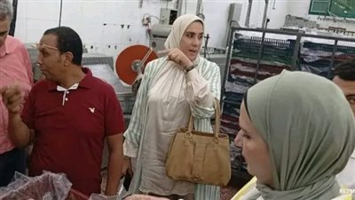 محافظ الدقهلية: ضبط 7 طن مصنعات لحوم غير صالحة للاستهلاك بجمصه