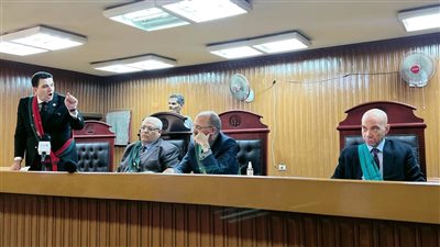 إحالة أوراق قاتلي صديقهما حرقًا وسرقة إلى المفتي بالجيزة
