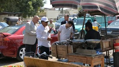 في جولة مفاجئة بمدخل ميت خميس.. محافظ الدقهلية يصدر تعليمات مشددة لرفع الإشغالات