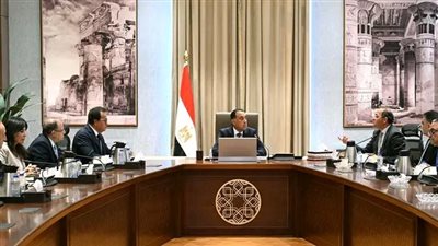 رئيس الوزراء يتابع جهود دعم صناعة الدواء في السوق المصرية ومؤشرات تطورها