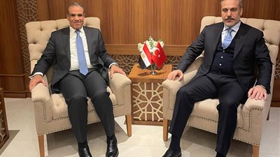 وزير الخارجية: مصر أكدت إدانتها بشكل كامل لكل السياسات التوسعية الإسرائيلية